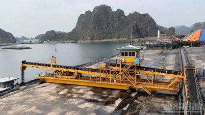 Ngành than tập trung ứng phó bão số 3