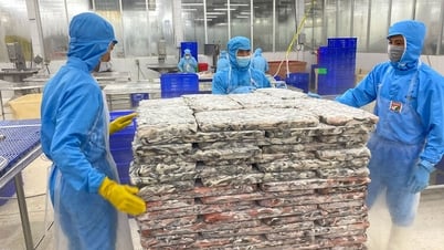 Quyết tâm trở thành trung tâm thủy sản hàng đầu khu vực