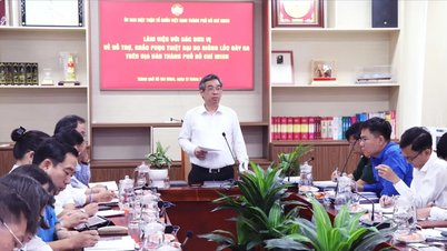TPHCM chủ động ứng phó, bảo vệ an toàn cho người dân trước bão số 3