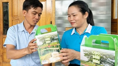Xây dựng thương hiệu gạo Mắt Biếc