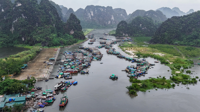 Sau ký ức Yagi, ngư dân Hạ Long nín thở "chờ" bão Wipha