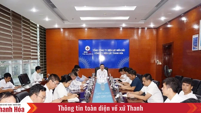 Ngành điện Thanh Hóa triển khai ứng phó khẩn cấp với bão số 3