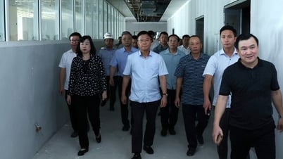 Trước ngày 30/11, đưa cơ sở 2 Bệnh viện Bạch Mai, Việt Đức vào sử dụng
