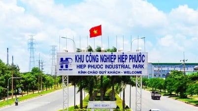 TP Hồ Chí Minh: Khu chế xuất, khu công nghiệp thu hút gần 334 triệu USD đầu tư
