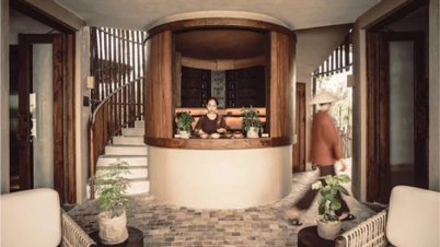 Phía Sau Sự Chữa Lành: Gặp Gỡ Những Chuyên Gia Tận Tâm Tại Lumina Spa