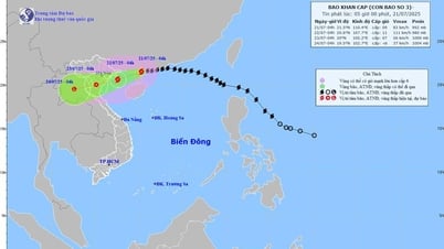 Bão số 3 (Wipha) giật cấp 11 và có khả năng mạnh lên, cách Quảng Ninh–Hải Phòng 275km