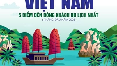 5 điểm đến đông khách du lịch nhất Việt Nam