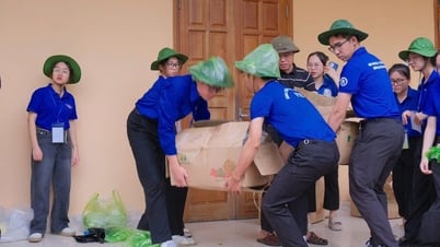Sau 2 giờ đăng tải, Thành đoàn Hải Phòng hỗ trợ nông dân Vĩnh Bảo tiêu thụ 1 tấn dưa lưới