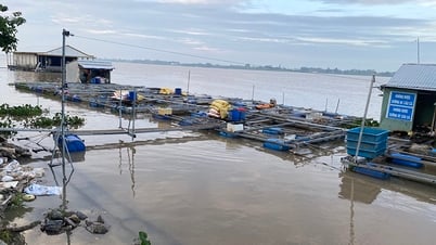 Trải nghiệm Khu du lịch làng bè An Phong