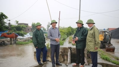 Chủ động gia cố đê điều, ứng phó với bão Wipha