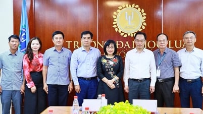 Trường đại học Luật TP.HCM mở phân hiệu tại Quảng Trị