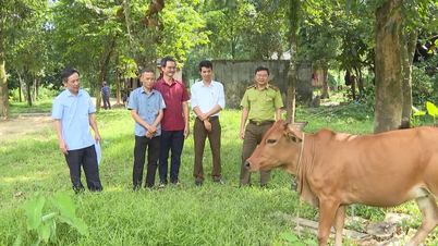 Hiệu quả từ thỏa thuận giảm phát thải vùng Bắc Trung bộ