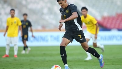 Nhiệm vụ khó của 'những chú hổ Malay'