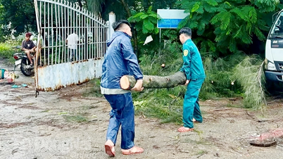 Bão số 3 gây mưa gia tăng kèm gió giật mạnh ở Đồng Nai