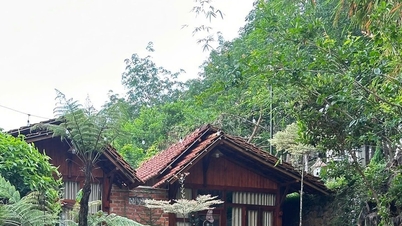 Sống chậm giữa thiên nhiên