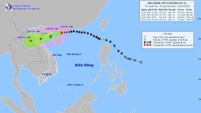 Khẩn trương, quyết liệt ứng phó bão số 3