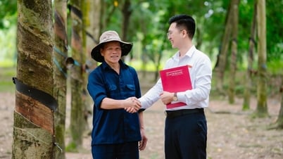Agribank đồng hành cùng hộ kinh doanh chuyển đổi thành doanh nghiệp “Chuyển đổi bứt phá-Nâng tầm doanh nghiệp”