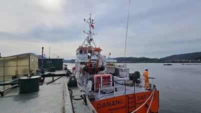 Tạm dừng làm hàng, kiểm soát tàu thuyền toàn tuyến