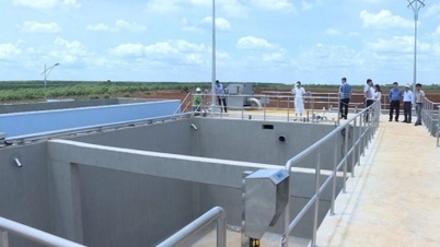 After the inspection visit of the provincial leaders, the problems of the Nam Pleiku Industrial Park were resolved.