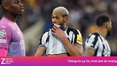 Chuyện gì đang xảy ra với Newcastle?