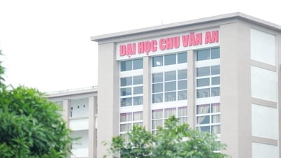 Điểm chuẩn Trường Đại học Chu Văn An 2025
