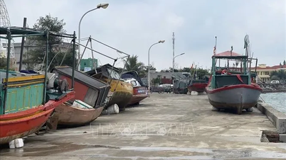 Ứng phó bão số 3: Đặc khu Bạch Long Vĩ đã có mưa và gió cấp 6