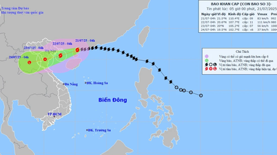 Bão số 3 (bão Wipha) có khả năng mạnh lên, cách Quảng Ninh–Hải Phòng 275km