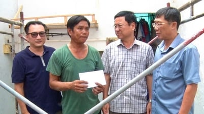 Hỗ trợ người dân ở phường Mỹ Thới bị ảnh hưởng mưa giông