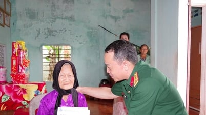 Chỉ huy trưởng Bộ Chỉ huy Quân sự thành phố Đà Nẵng thăm, tặng quà Bà mẹ Việt Nam anh hùng