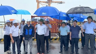 Thứ trưởng Xây dựng kiểm tra công tác ứng phó bão số 3 tại khu bến Lạch Huyện