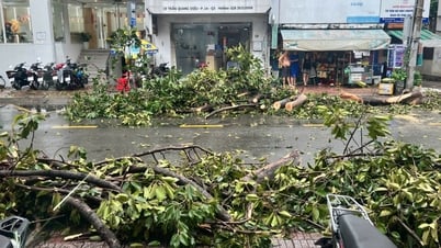 TPHCM ra văn bản khẩn ứng phó bão số 3