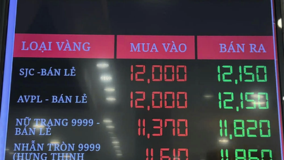 Giá vàng miếng tăng vọt trở lại