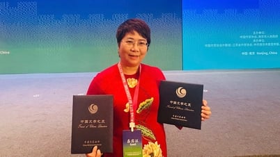 Dịch giả Nguyễn Lệ Chi nhận danh hiệu 'Người bạn của văn học Trung Quốc'