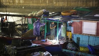 Kiểm tra rà soát yêu cầu người trên tàu thuyền về tránh trú về nơi ở an toàn