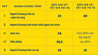 Trường Đại học Bà Rịa - Vũng Tàu công bố điểm sàn tuyển sinh 2025