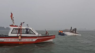 Doanh nghiệp bảo hiểm xác định thiệt hại, tạm ứng bồi thường vụ lật tàu Vịnh Xanh 58