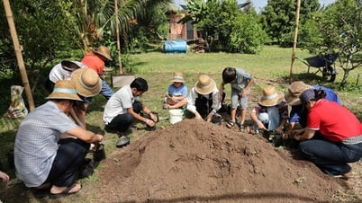 Trồng dâu tằm sạch, làm du lịch xanh