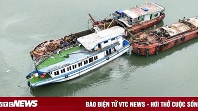 Một nạn nhân vụ lật tàu ở Quảng Ninh được bảo hiểm trả hơn 1,3 tỷ đồng