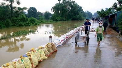 Đề nghị 13 tỉnh thành canh đê chống bão