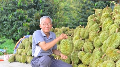 โอกาสจาก “ซูเปอร์รีเจียน” ทุเรียนของประเทศไทย