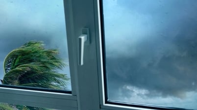 Tuyệt đối đừng làm việc này với cửa kính khi bão đến