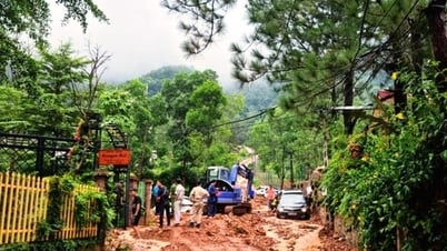 Hà Nội chủ động phòng, chống sạt lở đất đá khu vực rừng núi