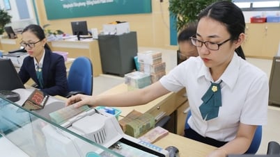 Kinh tế tư nhân Lâm Đồng làm gì để đáp ứng kỳ vọng mới?