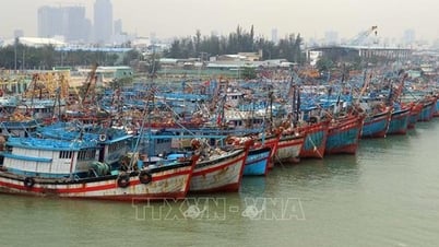 Đà Nẵng: Chủ động triển khai các biện pháp ứng phó với bão số 3