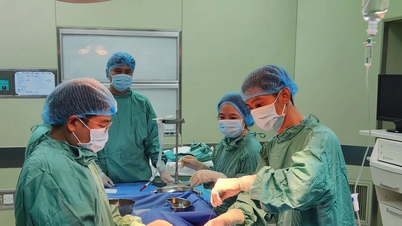 Bước tiến quan trọng của ngành y Việt Nam trong kỹ thuật ghép tế bào gốc tạo máu