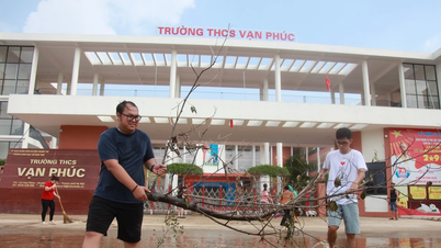 Hà Nội yêu cầu các trường chủ động ứng phó với bão Wipha