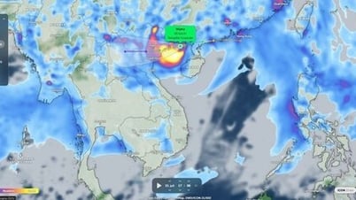 Bão số 3: Đảo Bạch Long Vĩ đã có gió mạnh cấp 8, giật cấp 9