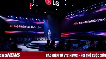 Khám phá dải sản phẩm TV LG AI 2025 tích hợp toàn diện trí tuệ nhân tạo thấu cảm