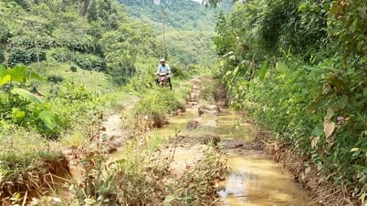 Người dân thôn Nặm Vạc mong chờ một tuyến đường bê tông