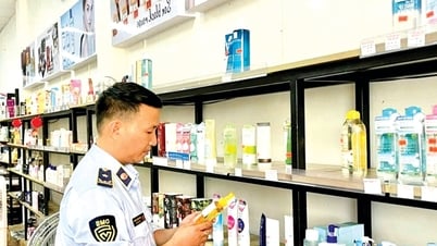 Ngăn chặn, đẩy lùi buôn lậu, gian lận thương mại, hàng giả, xâm phạm quyền sở hữu trí tuệ